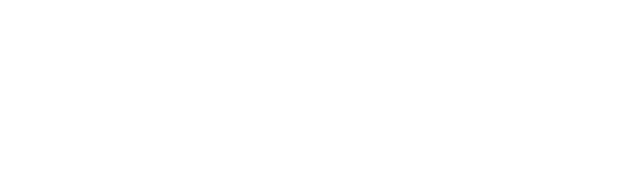 ScreenSoft logo